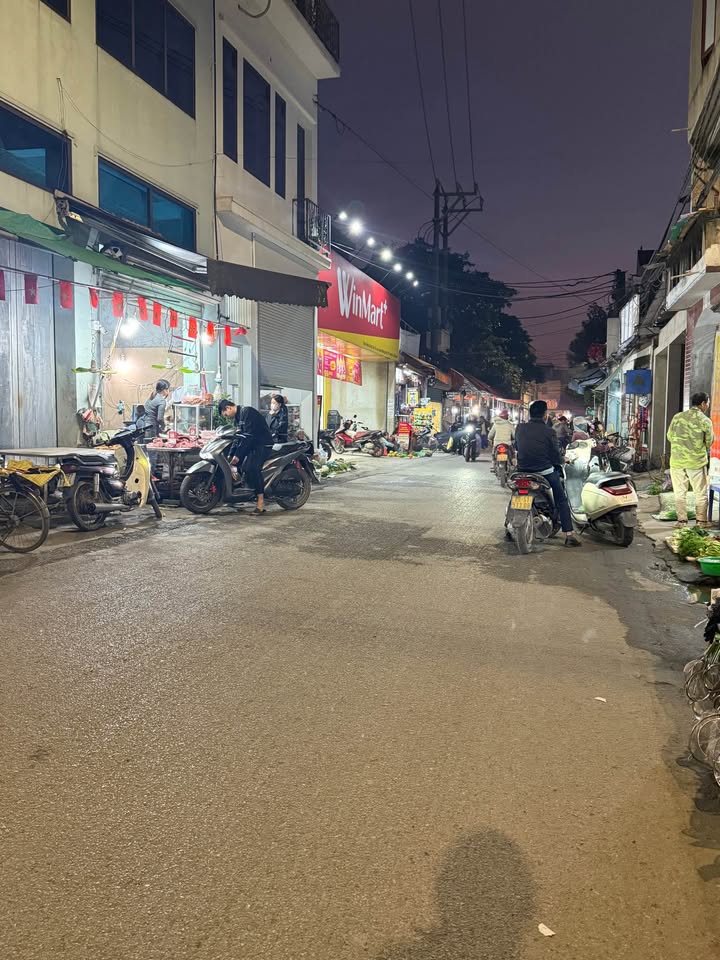 Đất nền Cổ Loa, Đông Anh 100m² giá 5 tỷ - Bán gấp, sổ đỏ chính chủ!