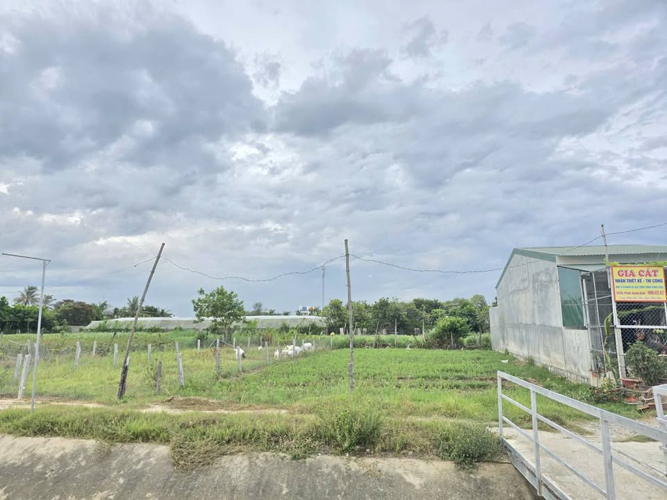 Đất thổ cư mặt tiền Mương Nhật, Long Bình 150m² giá 930 triệu - Cơ hội đầu tư tốt!