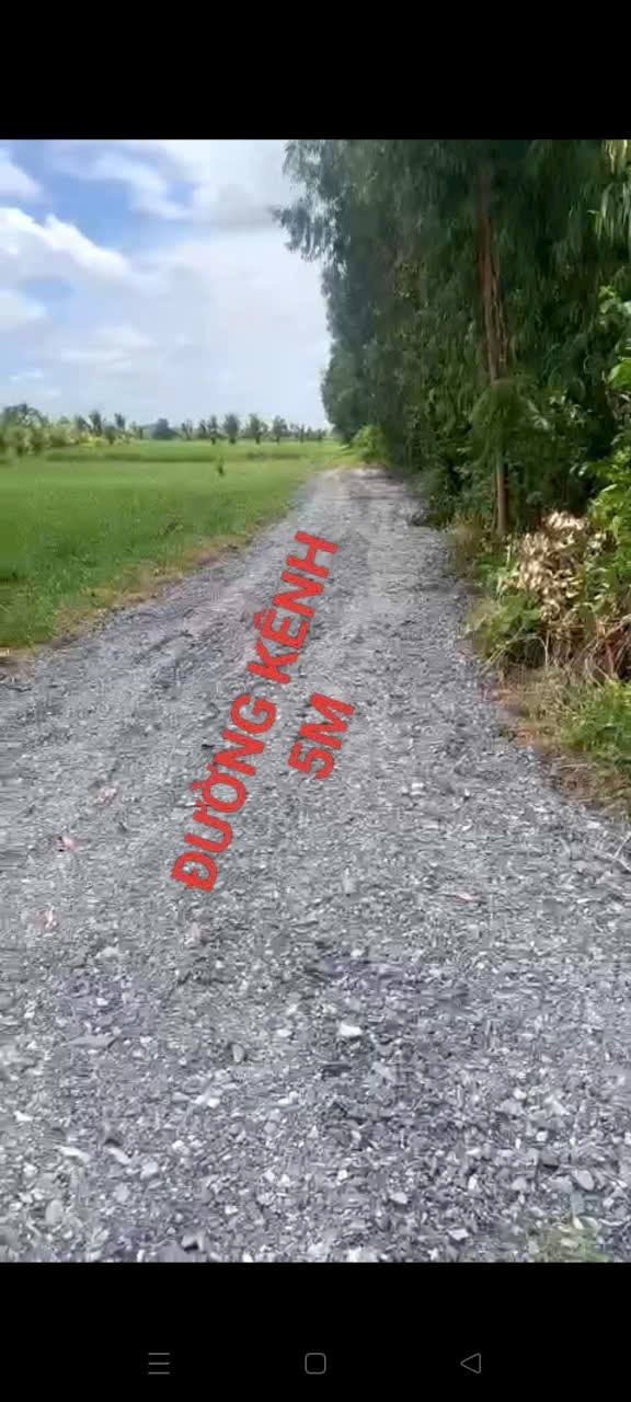 Đất nền 621m² tại Ấp Tân Hội, Đức Hòa, Long An - Sổ đỏ chính chủ, giá 3.1 tỷ!