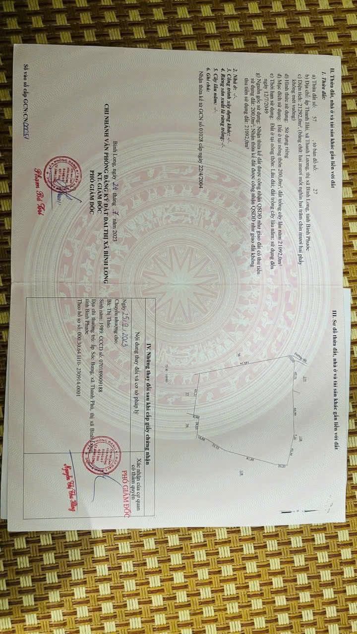 Đất ở Thanh Lương 2.2 mẫu giá chỉ 2.5 tỷ - Cơ hội đầu tư tuyệt vời!