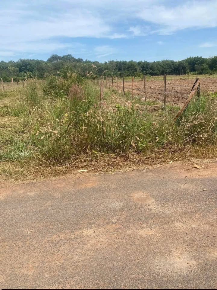 Đất nền Lộc Thịnh 420m² giá chỉ 200 triệu - Vị trí đắc địa gần chợ Hưng Thuỷ!