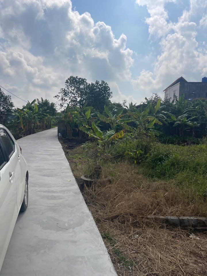 Đất nền Đông Phong, Tiền Hải 100m² giá 400 triệu - Đầu tư sinh lời ngay!