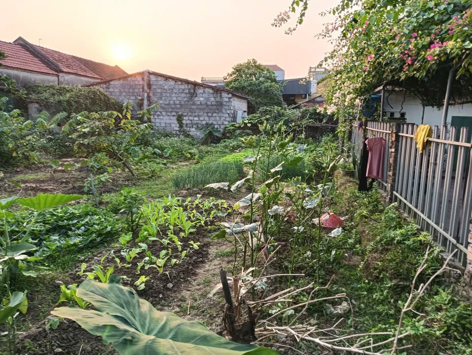 Đất thổ cư Minh Tân Vụ Bản 257m² giá 700 triệu - Cơ hội đầu tư tốt!