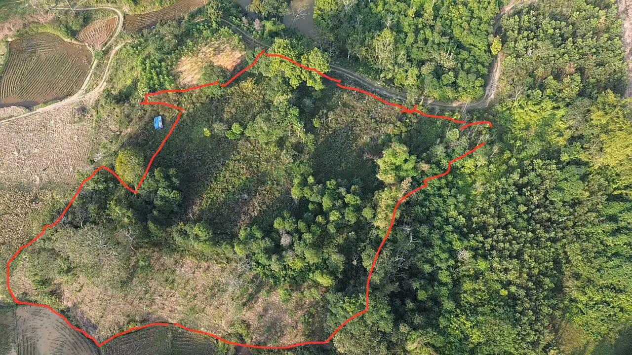 Đất vườn 6000m² Xuân Dương, Thái Nguyên - Giá chỉ 5xx triệu, cơ hội đầu tư tốt!