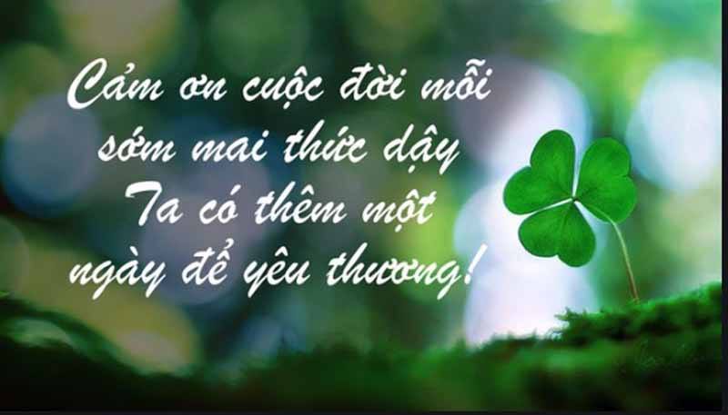 Căn hộ Garden Gate Phú Nhuận 90m² giá 20 triệu - Nhà mới, vào ở ngay!