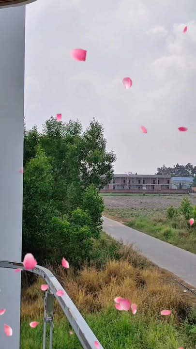 Nhà phố hiện đại Trảng Bom 100m² giá 1.89 tỷ - Sẵn sàng đón Tết!