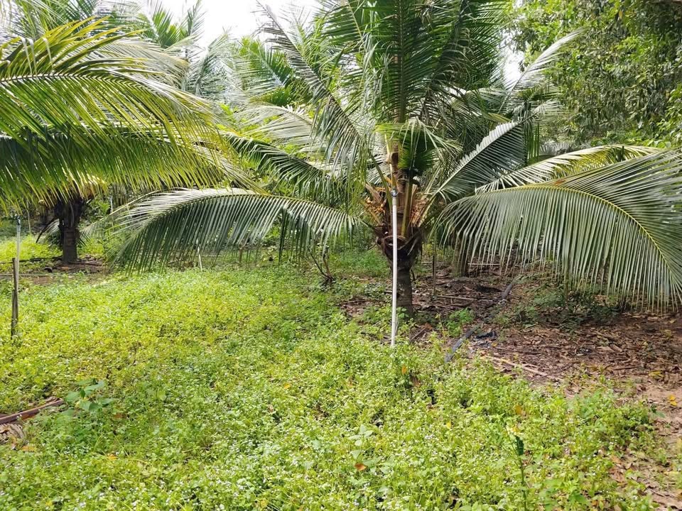 Đất nền Vĩnh Tân, Tân Uyên 340m² giá 1.8 tỷ - Đầu tư sinh lời ngay!