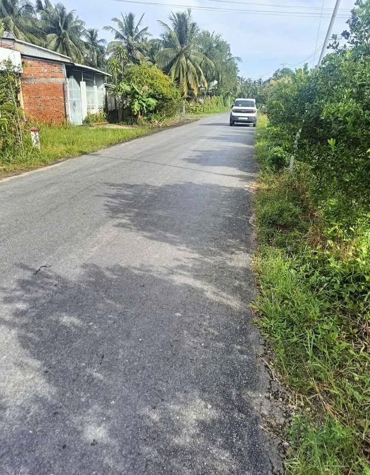 Đất nền mặt tiền DT901, xã Hòa Bình, huyện Trà Ôn, 100m² - Cơ hội đầu tư kinh doanh vàng!