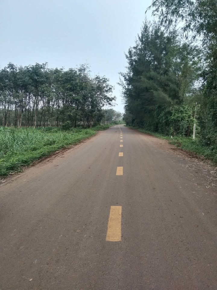 Đất nền Kim Thạch 220m² giá chỉ 400 triệu - Đầu tư sinh lời ngay!