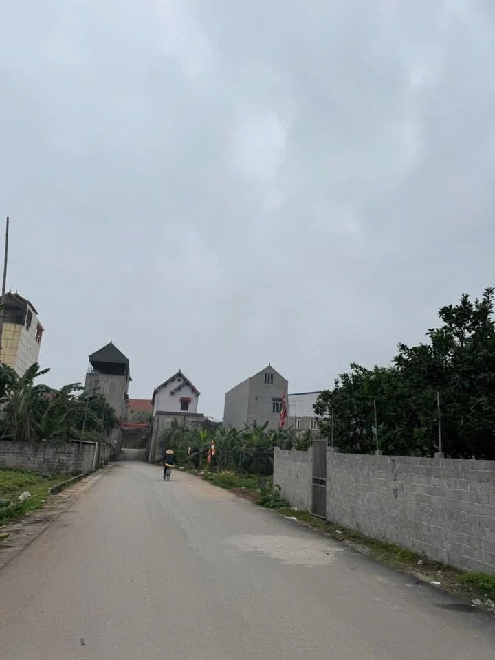 Đất nền 80m² tại Thôn Từ Hồ, xã Việt Yên - Giá chỉ 2.4 tỷ, đầu tư sinh lời cao!