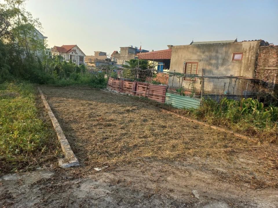 Đất nền Hoa Động, Thủy Nguyên 67m² giá 1.5 tỷ - Mặt tiền 4,85m, Ô tô vào tận nơi!