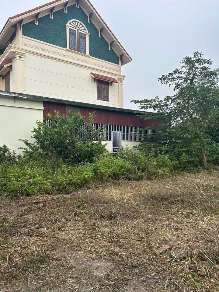 Đất nền Quốc Tuấn An Dương 60m² giá 800 triệu - Đầu tư sinh lời tiềm năng!