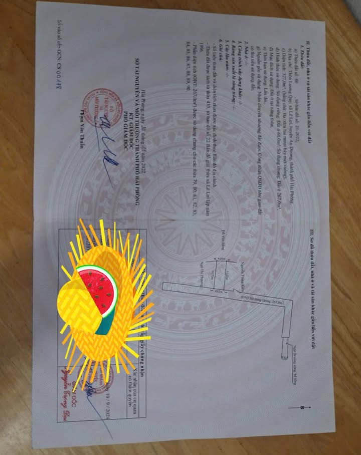 Đất nền An Dương Hải Phòng 60m² giá 920 triệu - Cơ hội đầu tư tuyệt vời!