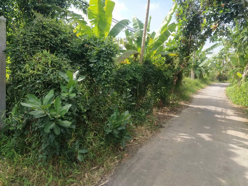 Đất nền Đông Phước, Châu Thành 300m² giá 890 triệu - Tiềm năng đầu tư hấp dẫn!