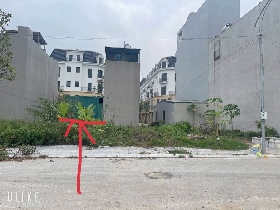 Đất nền TĐC Phường Đông Hải 64m² giá 3 tỷ - Đầu tư sinh lời ngay!