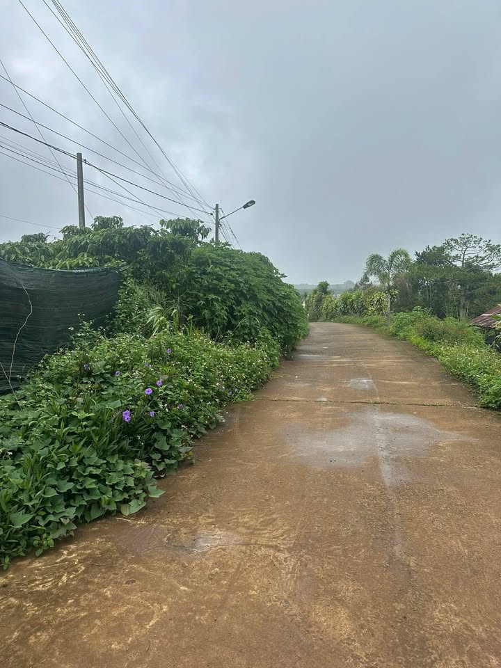 Đất nền hẻm 991B Nguyễn Văn Cừ, Lộc Phát, 1056m² giá 4.5 tỷ - Đầu tư sinh lời ngay!