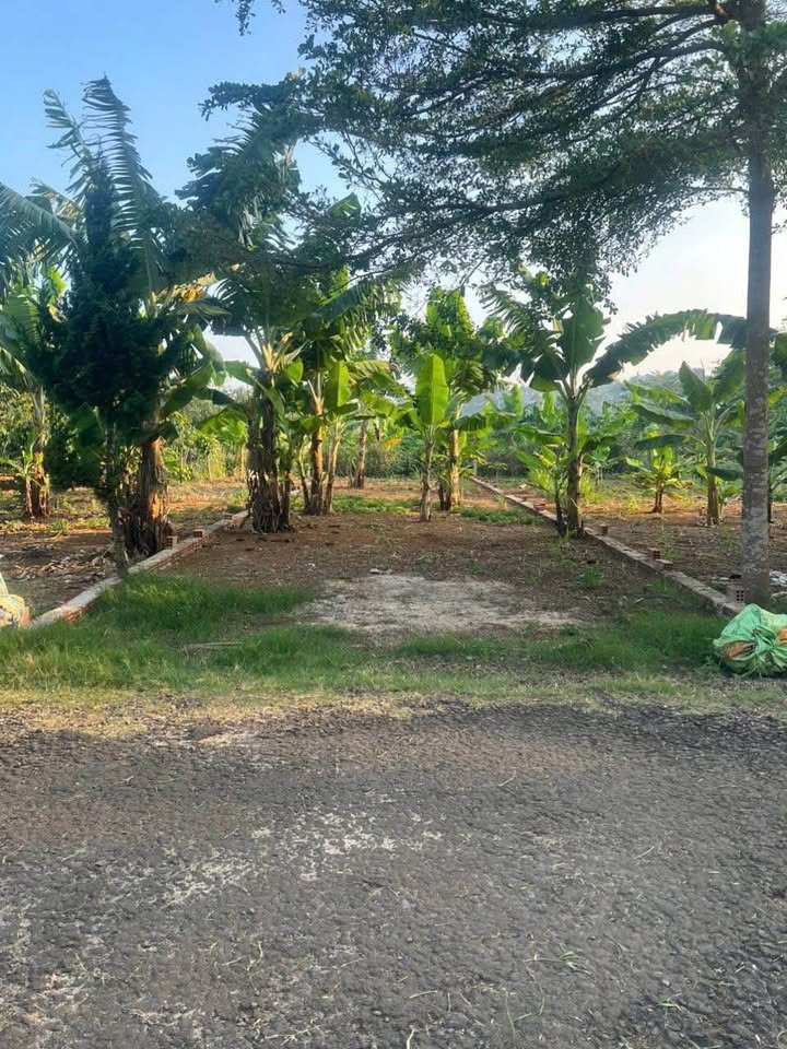 Đất nền Lộc An 110m² giá 680 triệu - Mặt tiền nhựa thông thoáng!