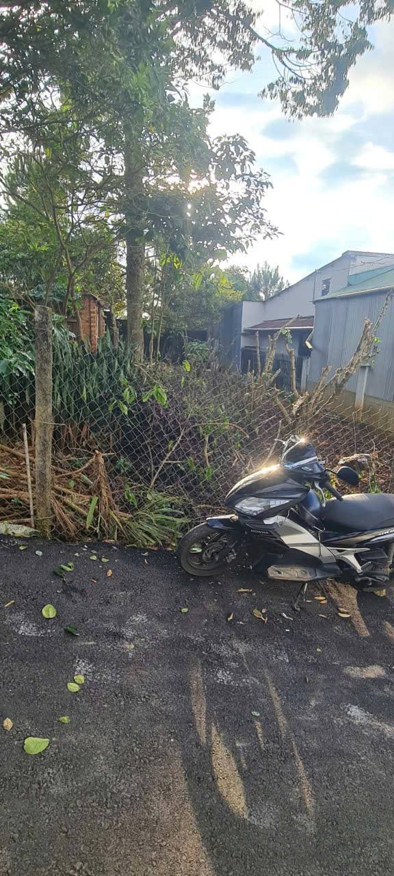 Đất nền hẻm 90, phường 2, Bảo Lộc 162m² giá 1.75 tỷ - Sổ hồng chính chủ sẵn sàng sang tên!