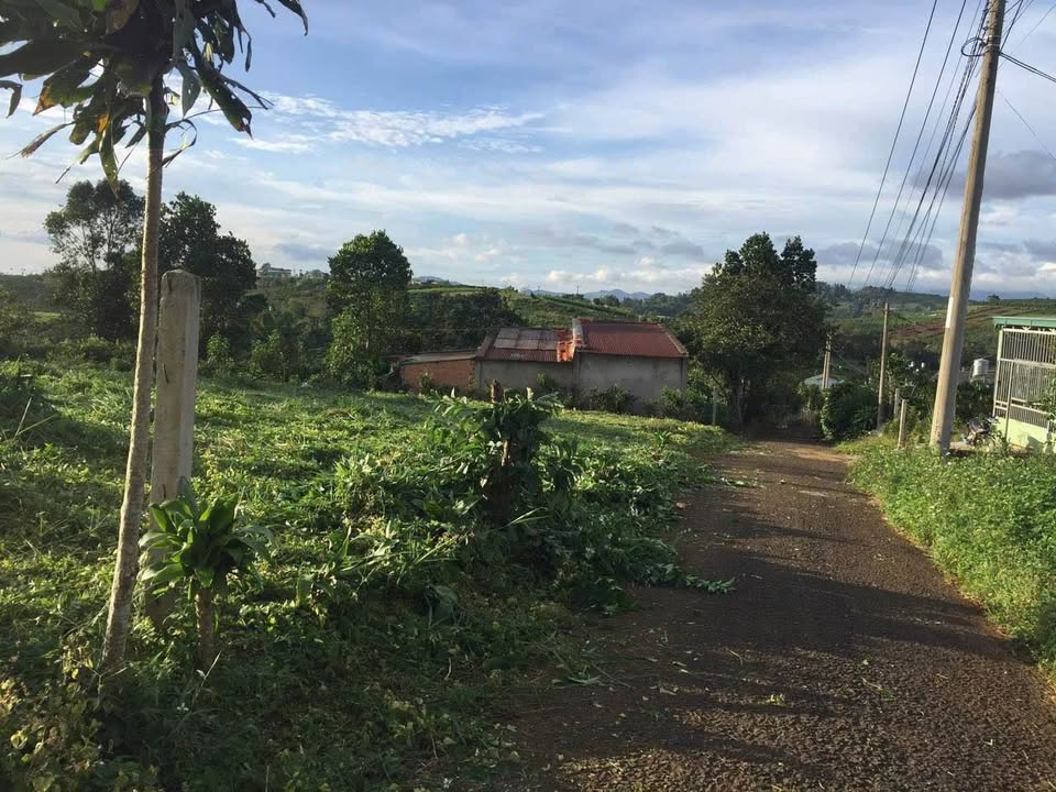 Đất nền Bảo Lộc 540m² giá chỉ 1.7 tỷ - Cơ hội đầu tư hấp dẫn!