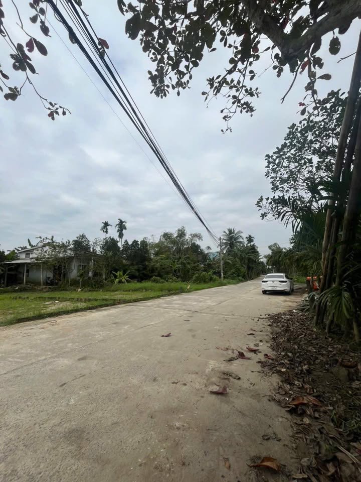 Đất nền Hòa Tiến Đà Nẵng 135m² giá chỉ 1.6 tỷ - Đầu tư sinh lời ngay!