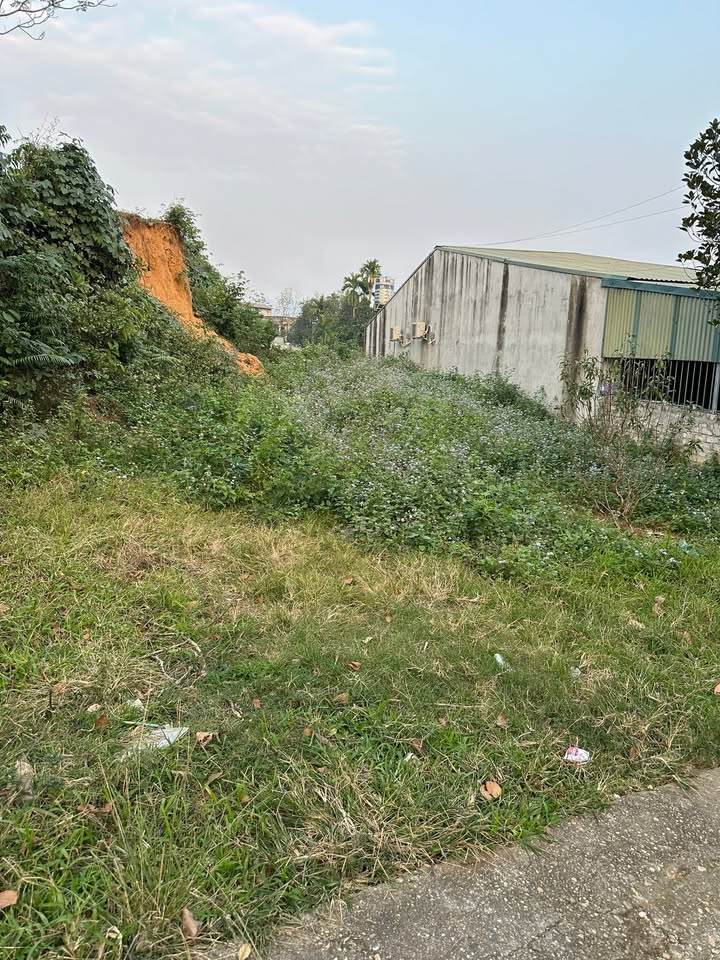 Đất nền tại phường An Tường, Tuyên Quang 251m² - Cơ hội đầu tư hấp dẫn!