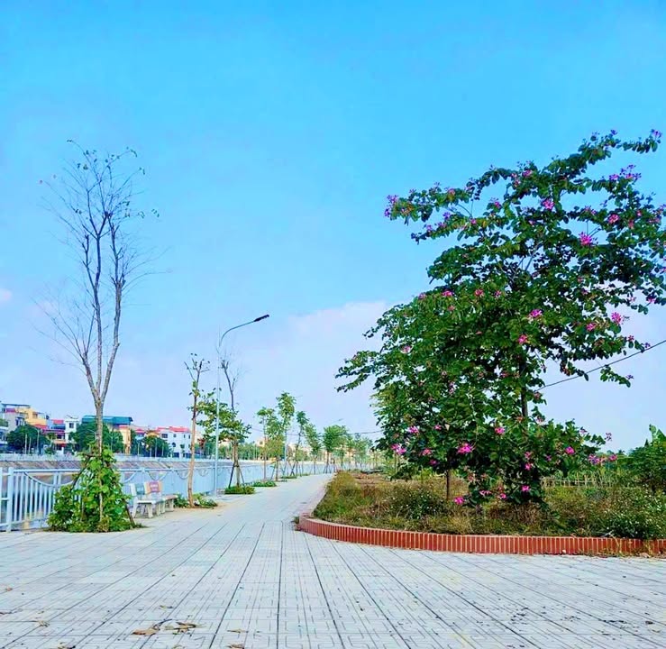 Đất thổ cư Yên Mỹ, Thanh Trì 1000m² giá chỉ 4 triệu/m² - Cơ hội đầu tư tuyệt vời!