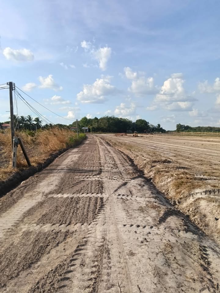 Đất nền Tân Hội Tây Ninh 1000m² giá chỉ 229 triệu - Sổ đỏ chính chủ, đầu tư sinh lời ngay!