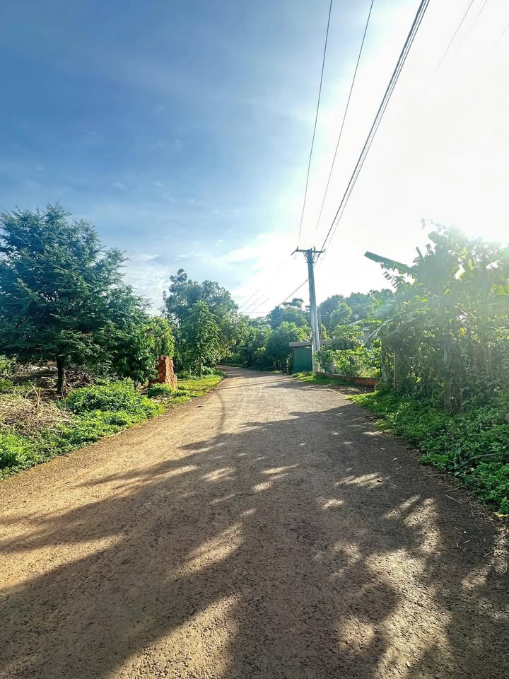 Lô đất làm nhà vườn tại phường Ea Kao, Buôn Ma Thuột 893m² chỉ 1.19 tỷ - Cơ hội đầu tư tuyệt vời!