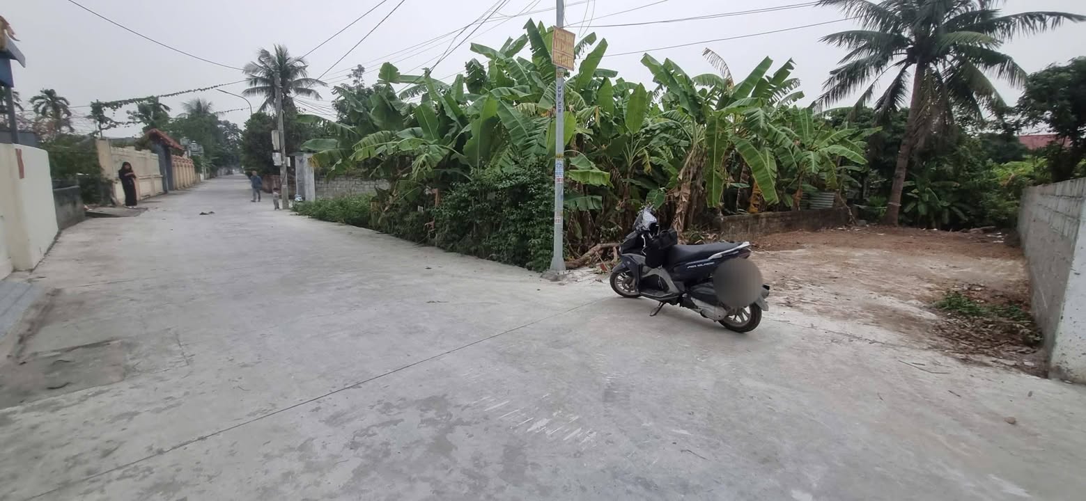 Lô đất An Thắng, An Lão 131m² giá 1 tỷ - Đầu tư tiềm năng!