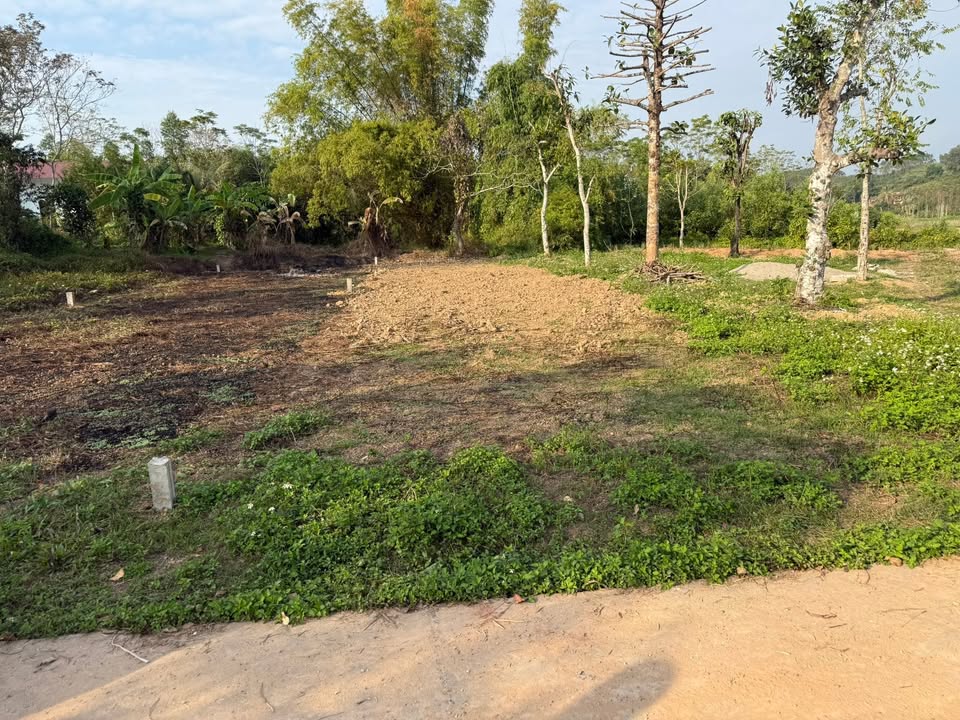 Đất nền Tân Hiệp Yên Thế 213m² giá 400 triệu - Cơ hội đầu tư tuyệt vời!