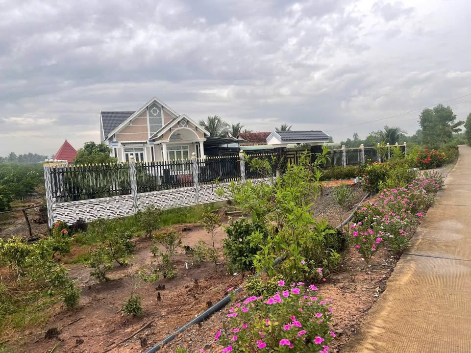 Đất nền Thạnh Hòa Bến Lức 1100m² giá 3.85 tỷ - Tiềm năng phát triển lớn!