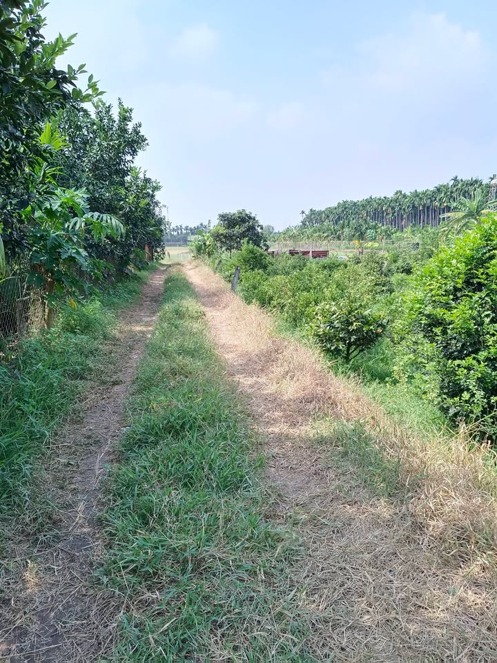 Đất nền Bình Hòa Vĩnh Cửu 1700m² giá 2 tỷ - Sổ riêng, đầu tư sinh lời!