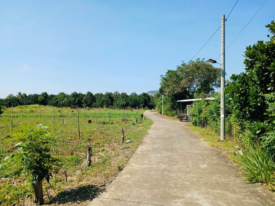 Đất sào Tân Phú Đồng Nai 1.096m² giá 579 triệu - Sổ hồng chính chủ, thương lượng trực tiếp!