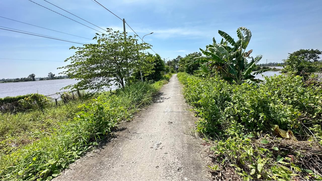 Đất nền Minh Lạc, Minh Lương 300m² giá 250 triệu - Đầu tư sinh lời ngay!