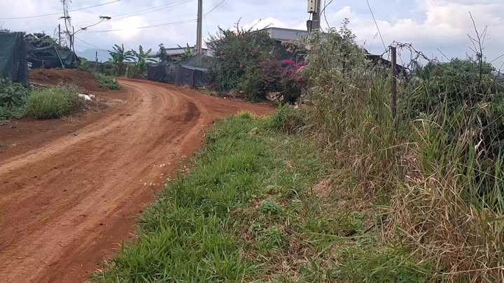 Đất nền Tân Thanh 5000m² giá 2.666 tỷ - Đầu tư sinh lời ngay!