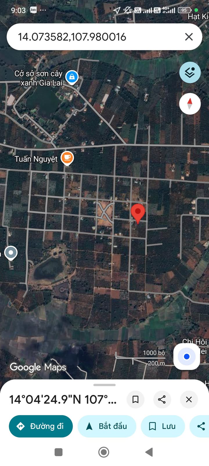 Đất nền Nghĩa Hưng Chư Păh 250m² giá 300 triệu - Sổ hồng chính chủ