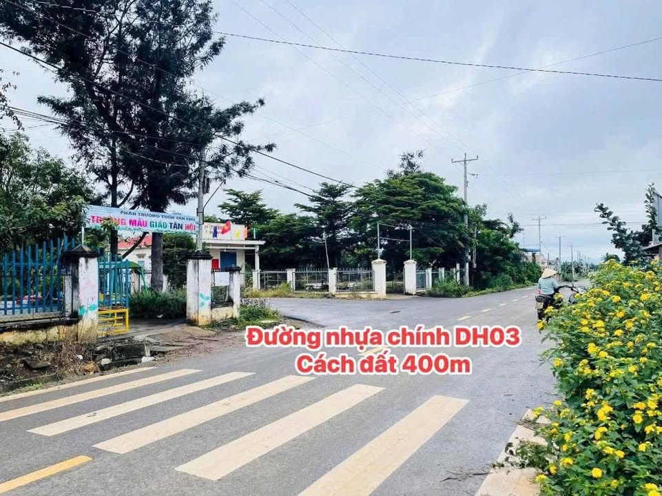 Đất Tân Phú, Đức Trọng 185m² giá 790 triệu - Đường bê tông rộng rãi!