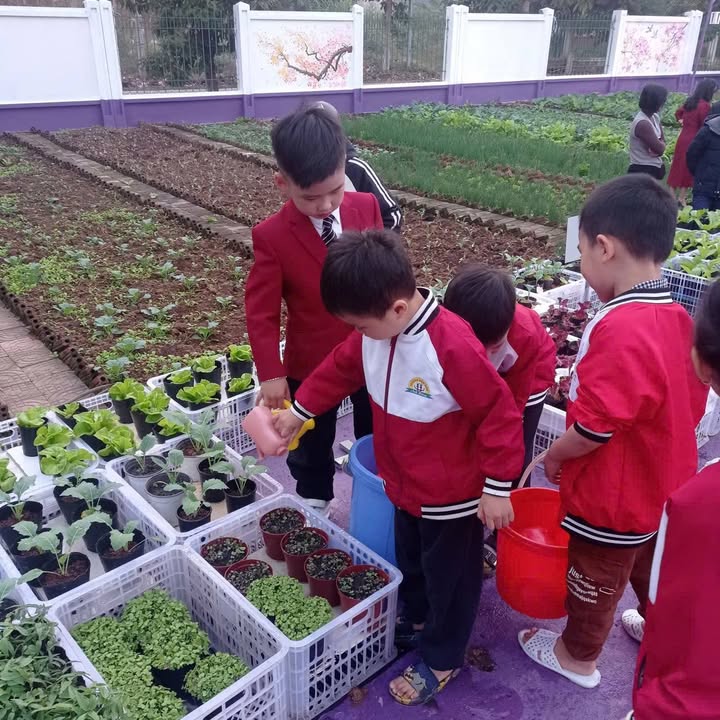 Đất thổ cư Đạ K'Nàng 896m² giá 2.4 tỷ - Sổ đỏ chính chủ!