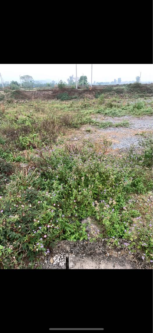 Đất nền khu đô thị Hàm Rồng, Nho Quan, 126m², giá chỉ 1 tỷ - Cơ hội đầu tư tuyệt vời!