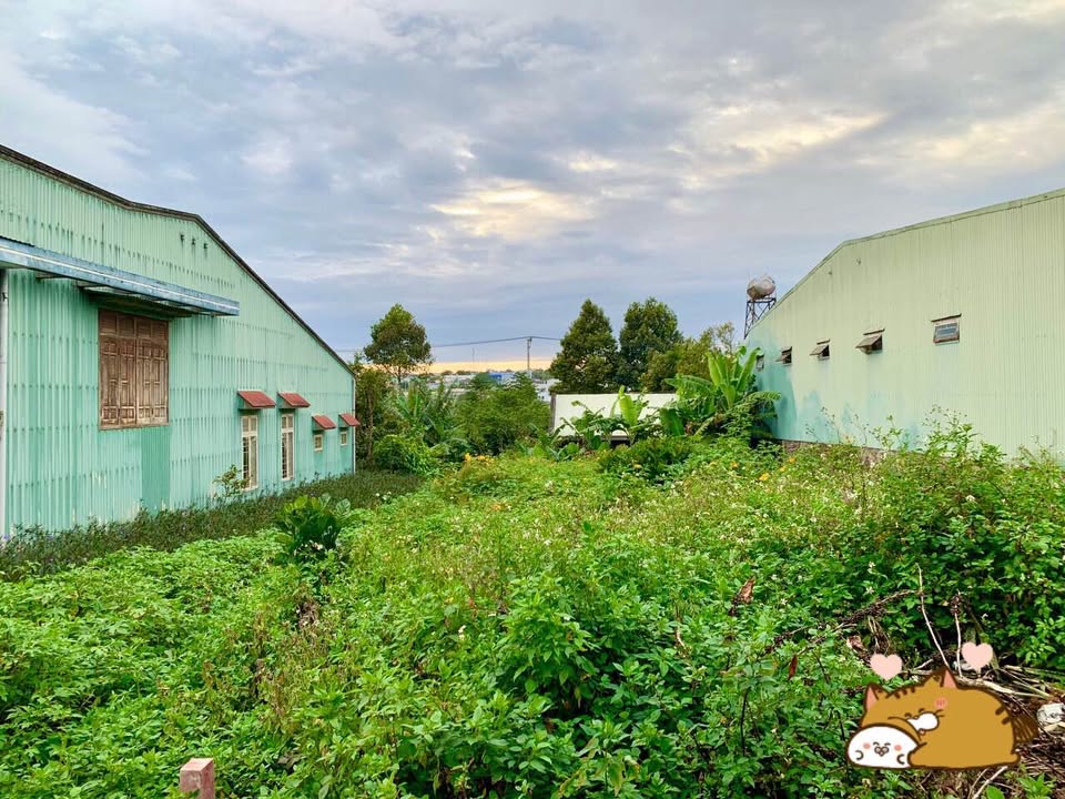 Đất thổ cư mặt tiền Trần Nguyên Đáng 150m² giá 2.1 tỷ - Tiện ích đầy đủ!