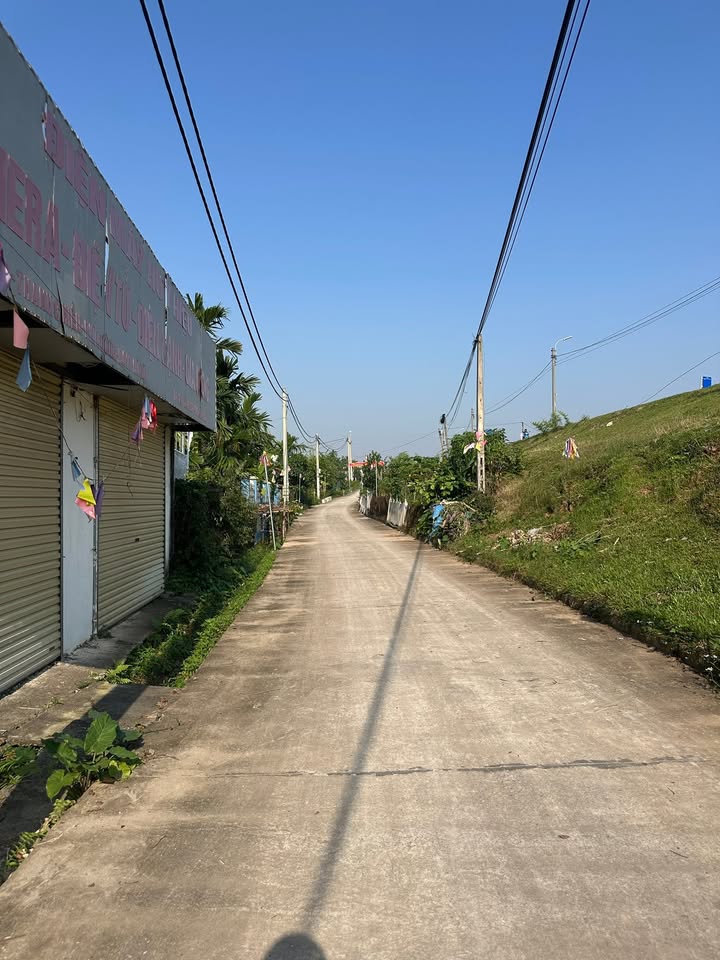 Đất ở Cổ Đô, Ba Vì 160m² giá 1.6 tỷ - Mặt tiền 6m, đường ô tô tránh nhau!