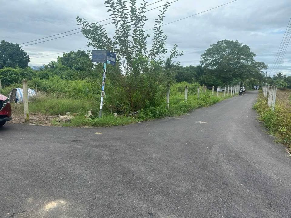 Đất mặt tiền đường nhựa Diên Phước 100m² giá chỉ 600 triệu - Cần tiền bán gấp!