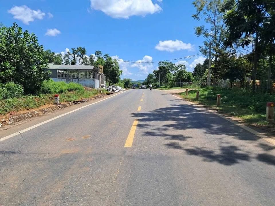 Đất nền Quang Trung Ngọc Lặc 730m² giá chỉ 1xx triệu - Cơ hội vàng cho nhà đầu tư!