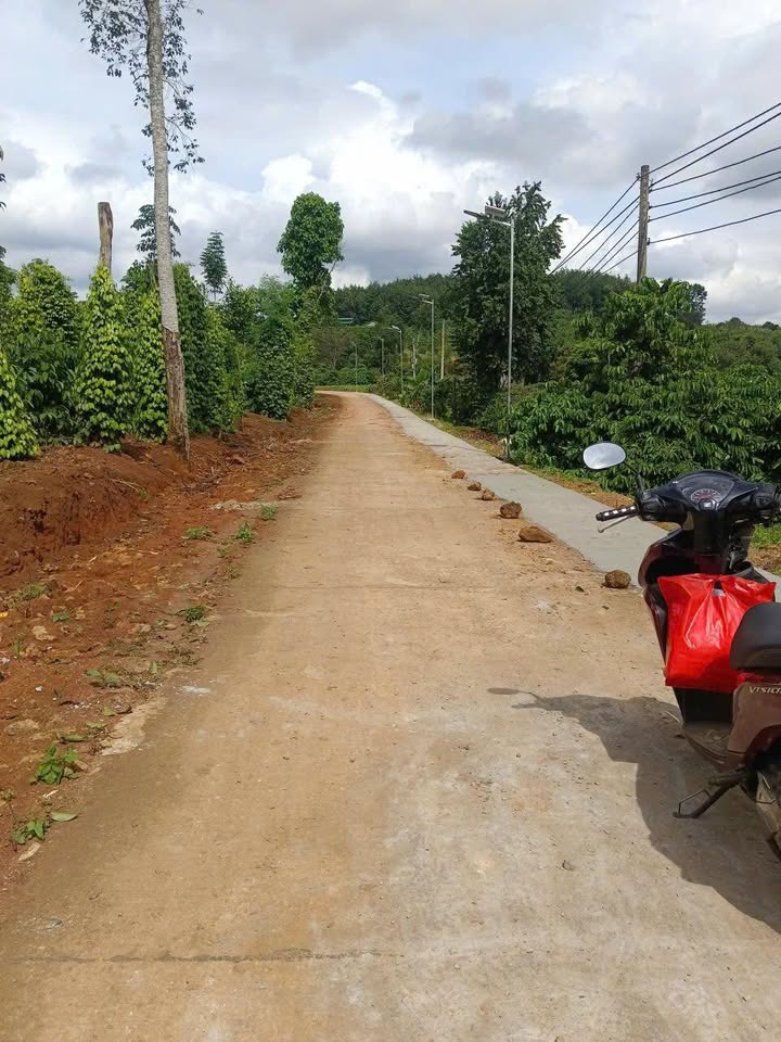 Đất nền Nam Xuân 1050m² giá chỉ 66 triệu - Cơ hội đầu tư tuyệt vời!