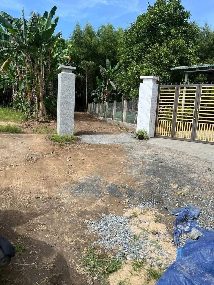 Mảnh vườn 2400m² Tịnh Bắc, Sơn Tịnh chỉ 700 triệu - Cơ hội đầu tư sinh lời!