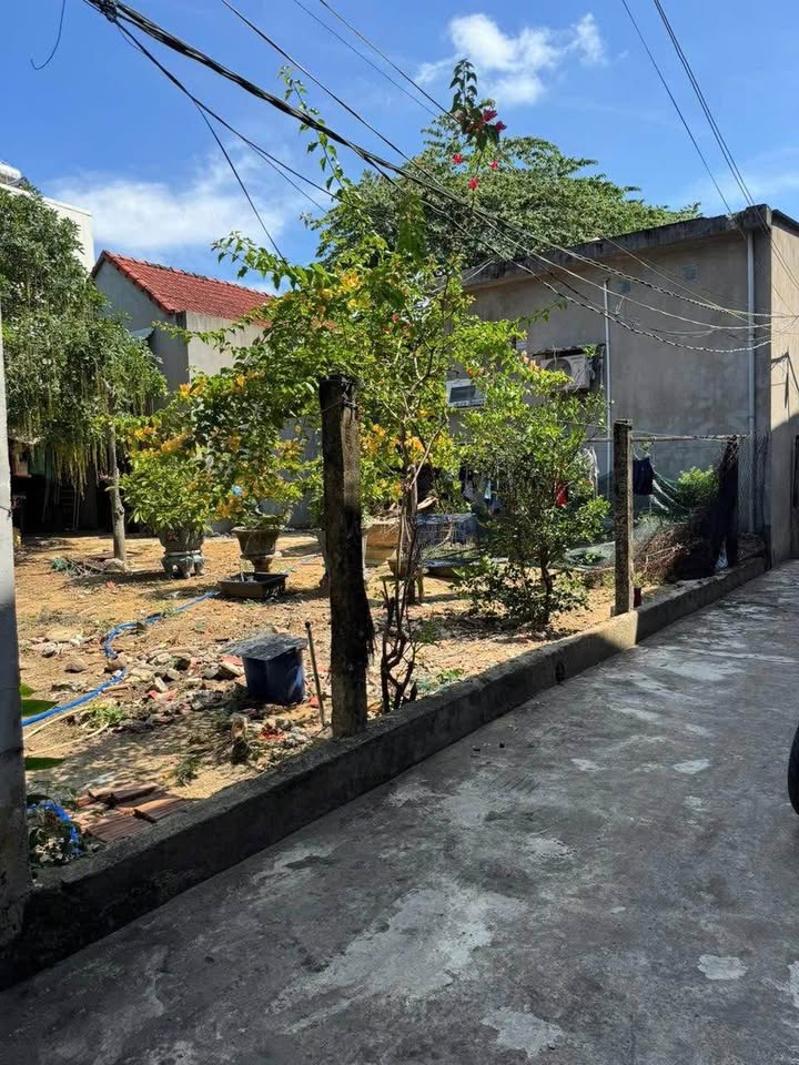 Lô đất đường bê tông Nghĩa Lộ 95m² giá 799 triệu - Đất ở hoàn toàn, hướng Đông!