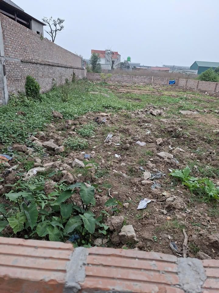 Đất An Bình Thường Tín 90m² giá tốt - Đỗ xe 29 chỗ tận cửa!