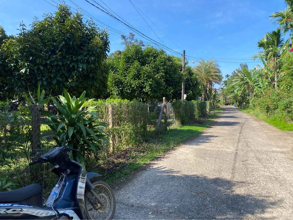 Đất thổ cư 10x65m tại Đamri, Lâm Đồng - Cơ hội vàng cho đầu tư!