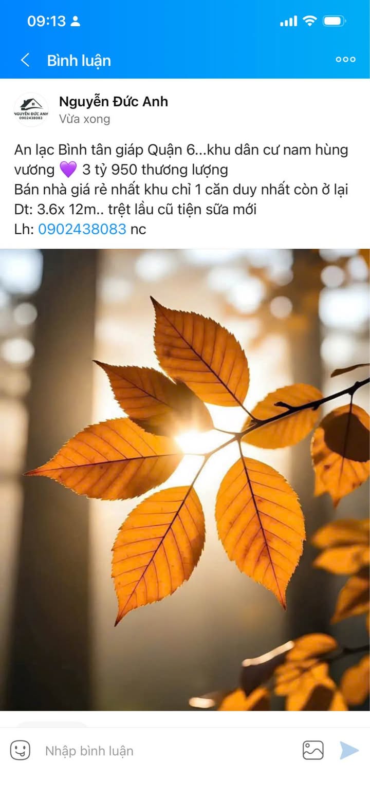 Nhà phố An Lạc, Bình Tân 43.2m² giá 3.95 tỷ - Cơ hội sở hữu duy nhất!