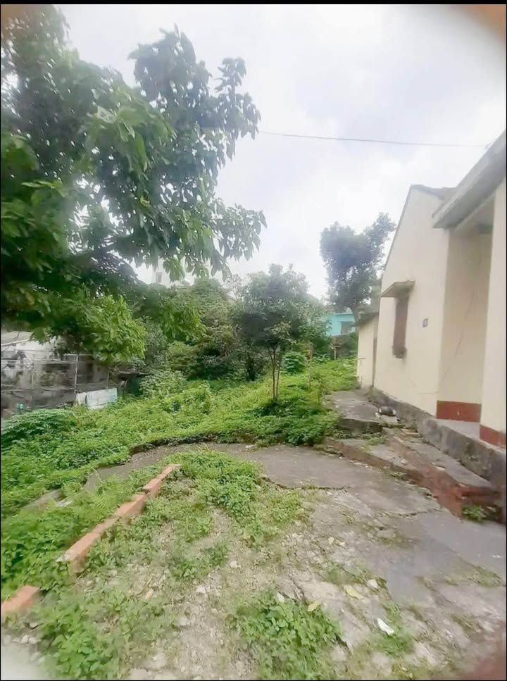 Đất nền Cẩm Phả, Mông Dương 893m² giá 9 tỷ - Sẵn nhà C4 cho thuê ngay!